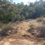 Lesmurdie Falls