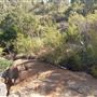 Lesmurdie Falls