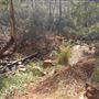 Lesmurdie Falls
