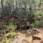 Lesmurdie Falls