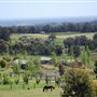 Dwellingup