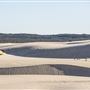 Yeagarup Sand Dunes