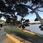 Cottesloe Beach
