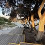 Cottesloe Beach