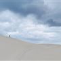 Sandy Cape