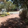 40 Irwin Street