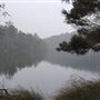 Pemberton - Big Brook Dam