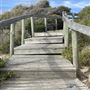 The Cove