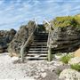 The Cove