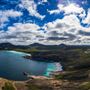 Thistle Cove