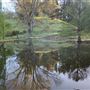Golden Valley Tree Park