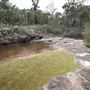 John Forrest National Park