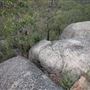 John Forrest National Park