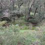 Wungong Regional Park