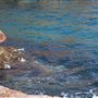 Kalbarri - Pot Alley Beach