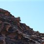 Kalbarri - Pot Alley Beach