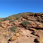 Kalbarri - Eagle Gorge