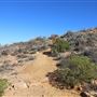 Kalbarri - Eagle Gorge