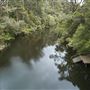 Pemberton - Warren National Park