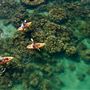 Mackerel Islands