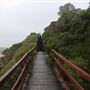 Gracetown