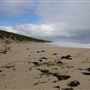 Gracetown