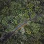 Boranup Karri Forest Margaret River
