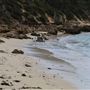 Kilcarnup Beach