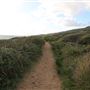 Yallingup - Rabbit Hill