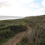 Yallingup - Rabbit Hill