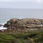 Yallingup - Torpedo Rock