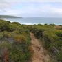 Yallingup - Torpedo Rock