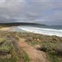 Yallingup - Torpedo Rock