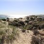 Port Denison - Sandy's Ladder