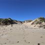 Port Denison - Sandy's Ladder