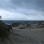 Sandy Cape