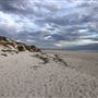 Claytons Beach