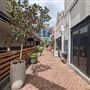 Shafto Lane
