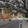 Murray Street
