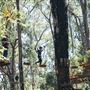 Lane Poole Reserve Dwellingup