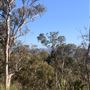 Banyowla Regional Park
