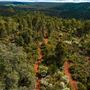 Dwellingup State Forest