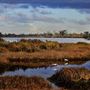 Murray River and Peel-Harvey Estuary