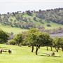 The Chittering Valley