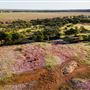 Wheatbelt Region