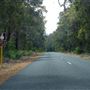 Boranup Karri Forest Margaret River