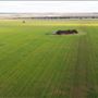 Wheatbelt Region
