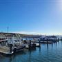 Augusta - Boat Harbour