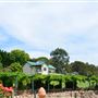 Myattsfield Vineyards