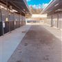 Alwyn Park Stud
